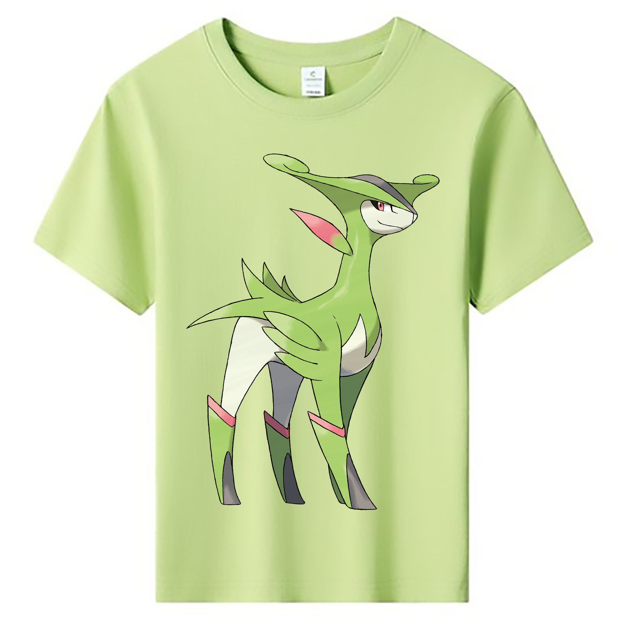 （画像用） ポケットモンスター Pokémon 綿100％キッズTシャツ（フロントプリント）